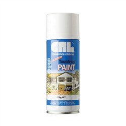 Touch up Paint  DUNE